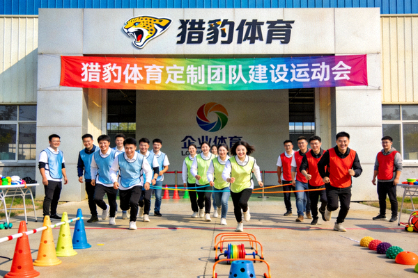 知名体育媒体D平台标志